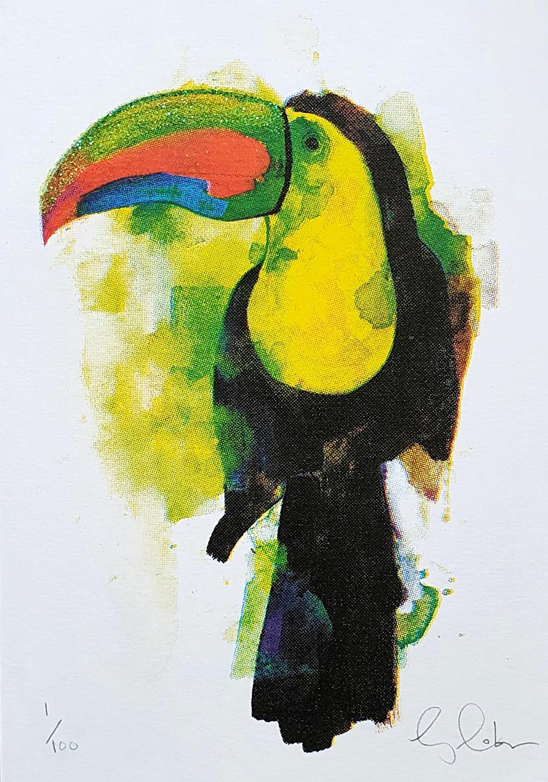 Mini Toucan